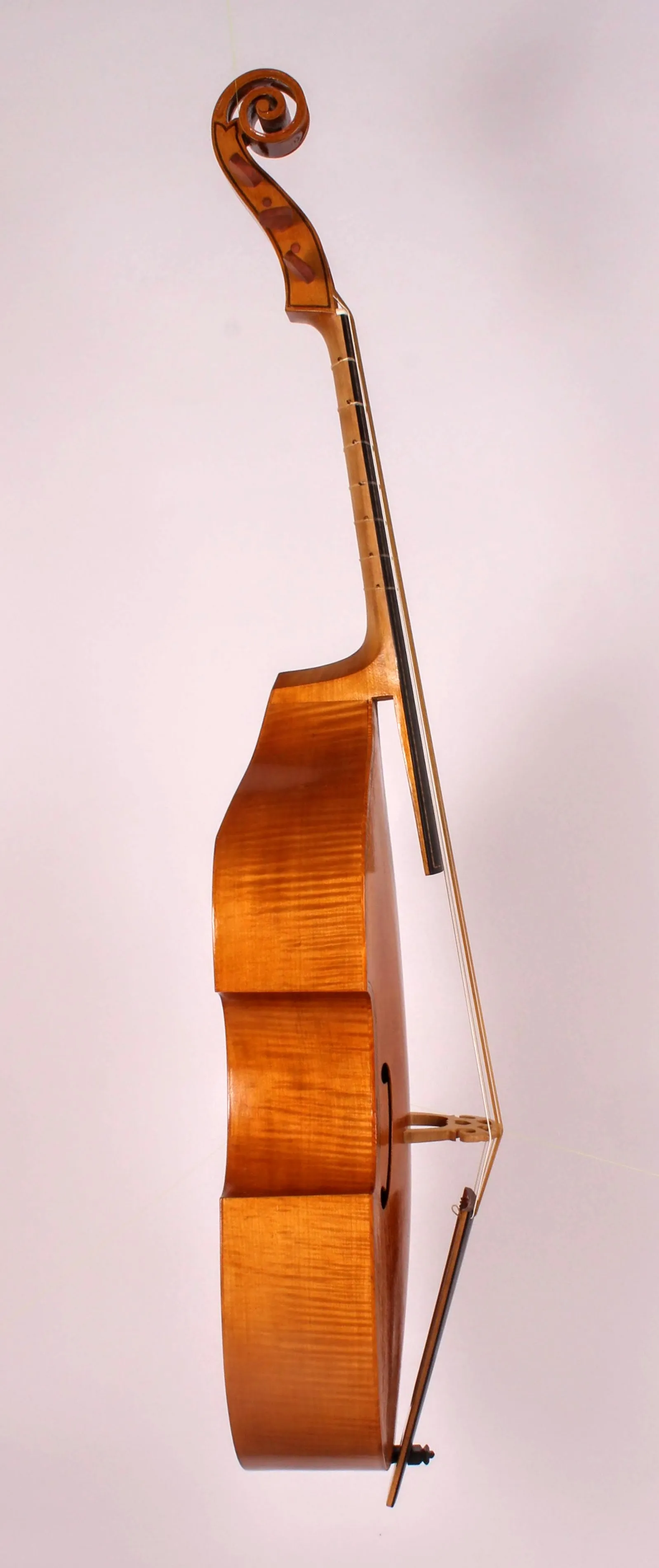 Bass Viol after Richard Meares 1660 - Image 10